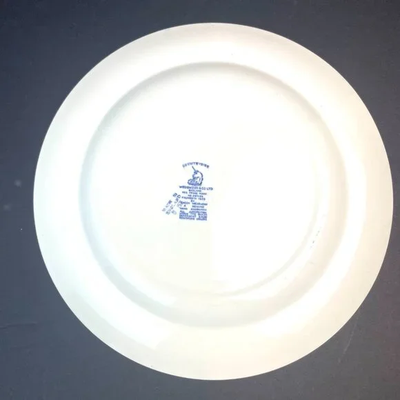 Set 6 Vintage Wedgwood & Co. Countryside Blue Transferware Dinner Plate England - Picture 8 of 9